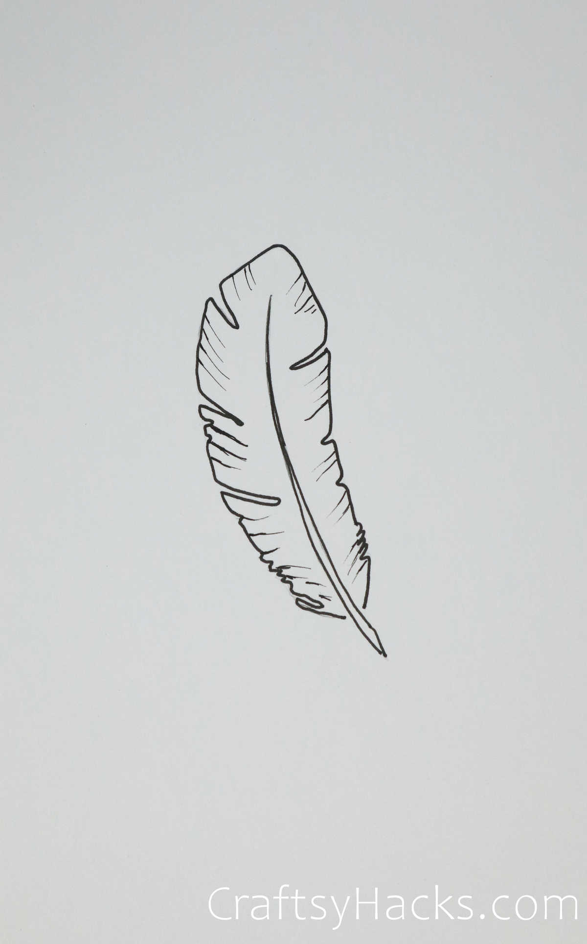 minimalist feather drawing