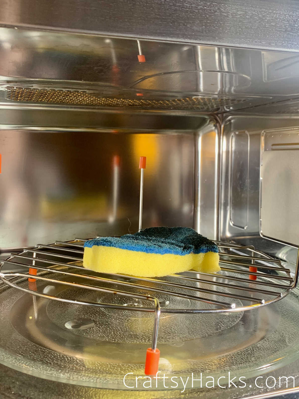 disinfect sponges in micowave