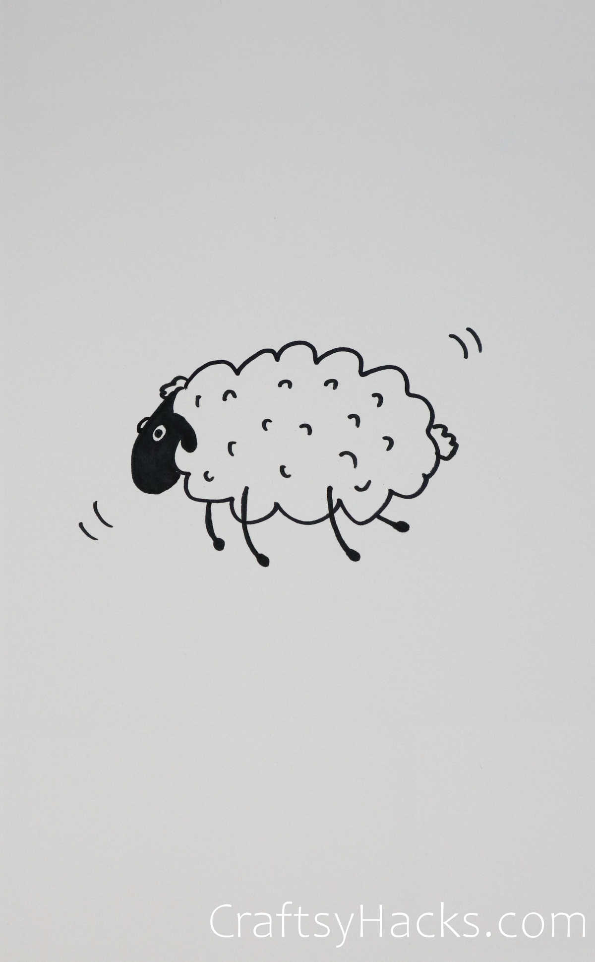 sheep in motion drawing
