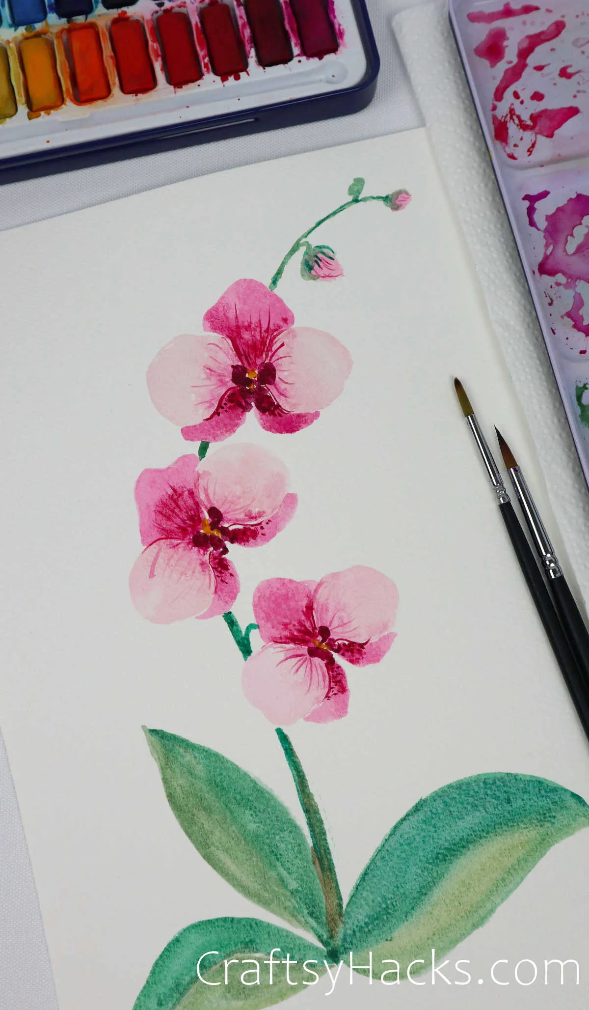 orchids watercolor painting