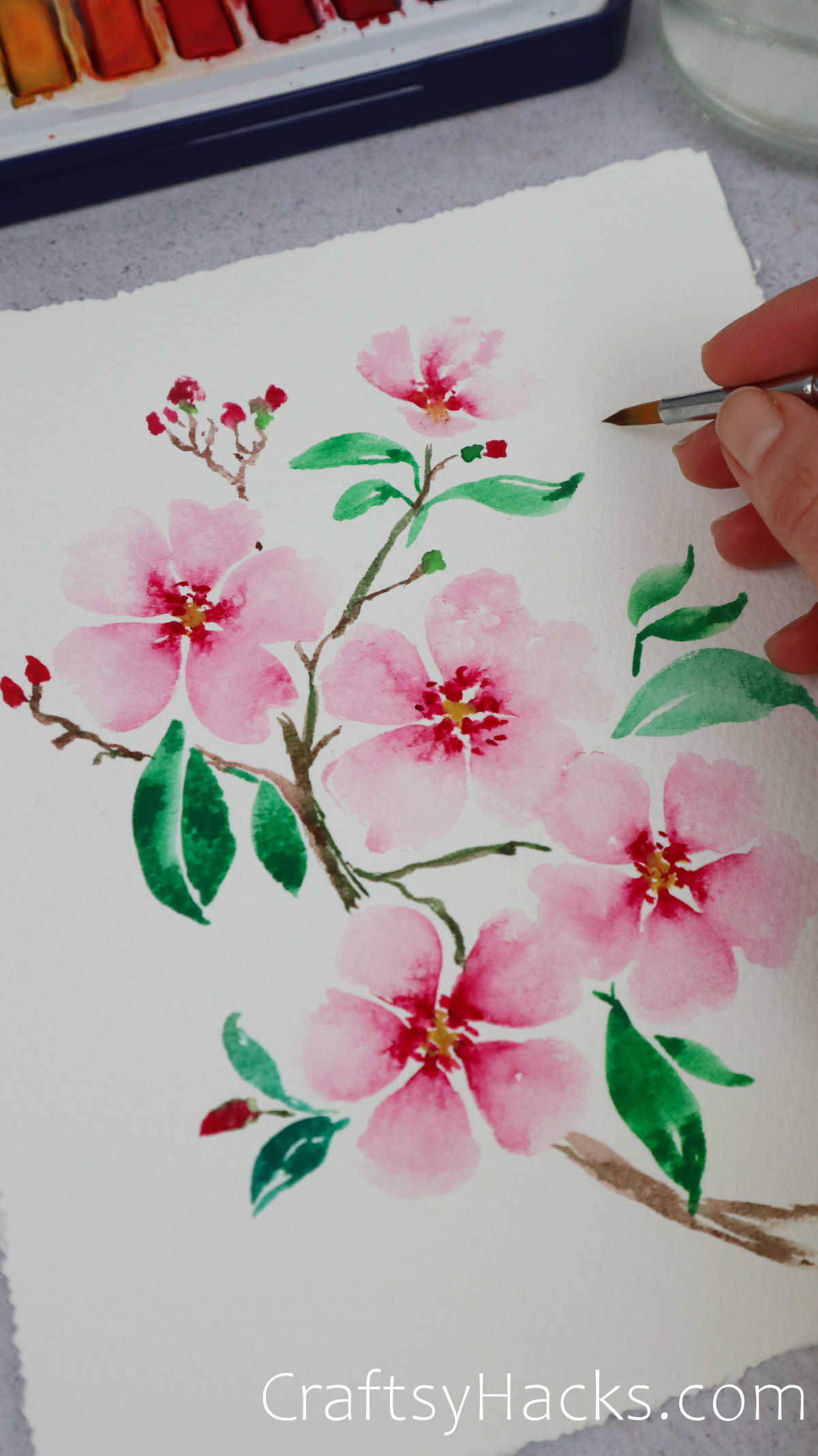 cherry blossoms watercolor painting