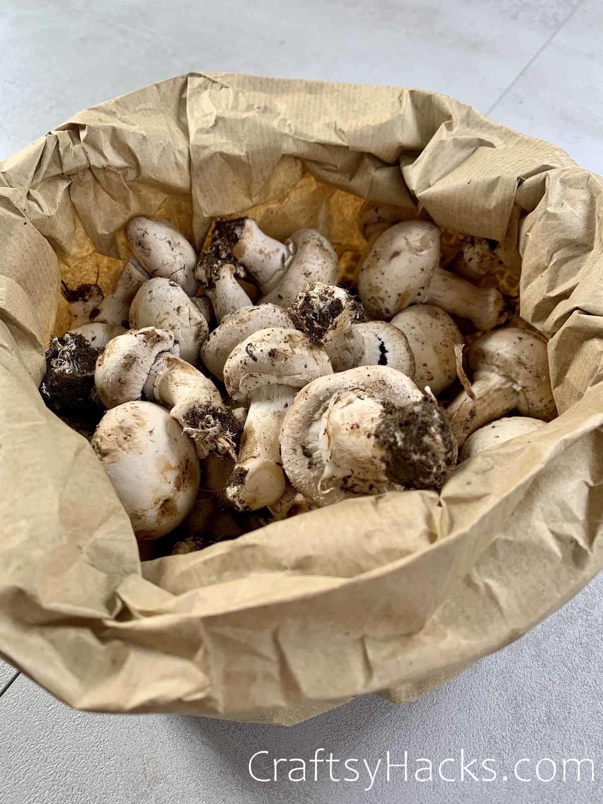 store mushrooms with paper bag