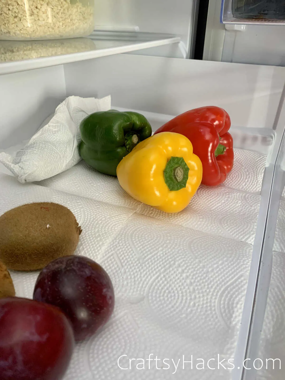 line fridge drawer with paper towel