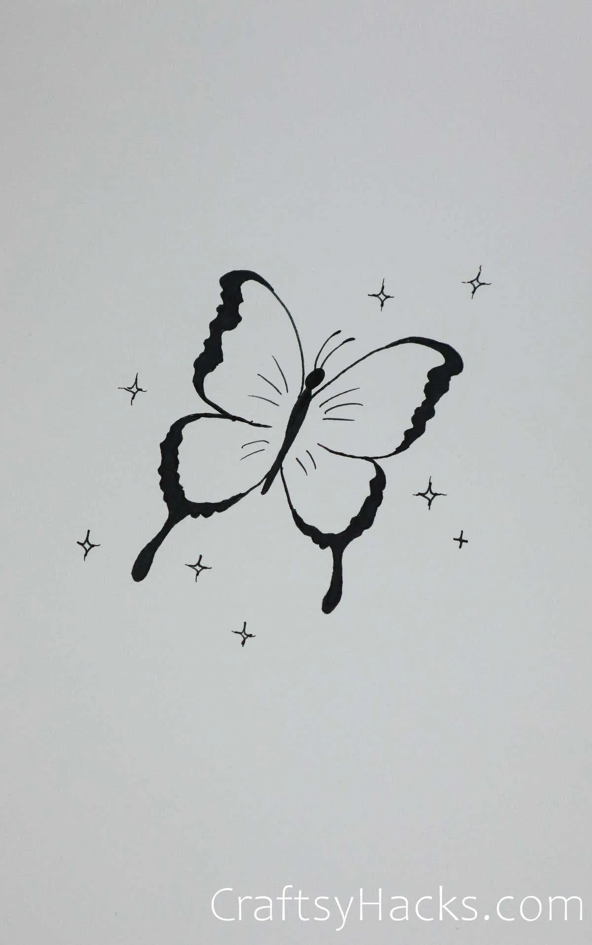 butterfly drawing