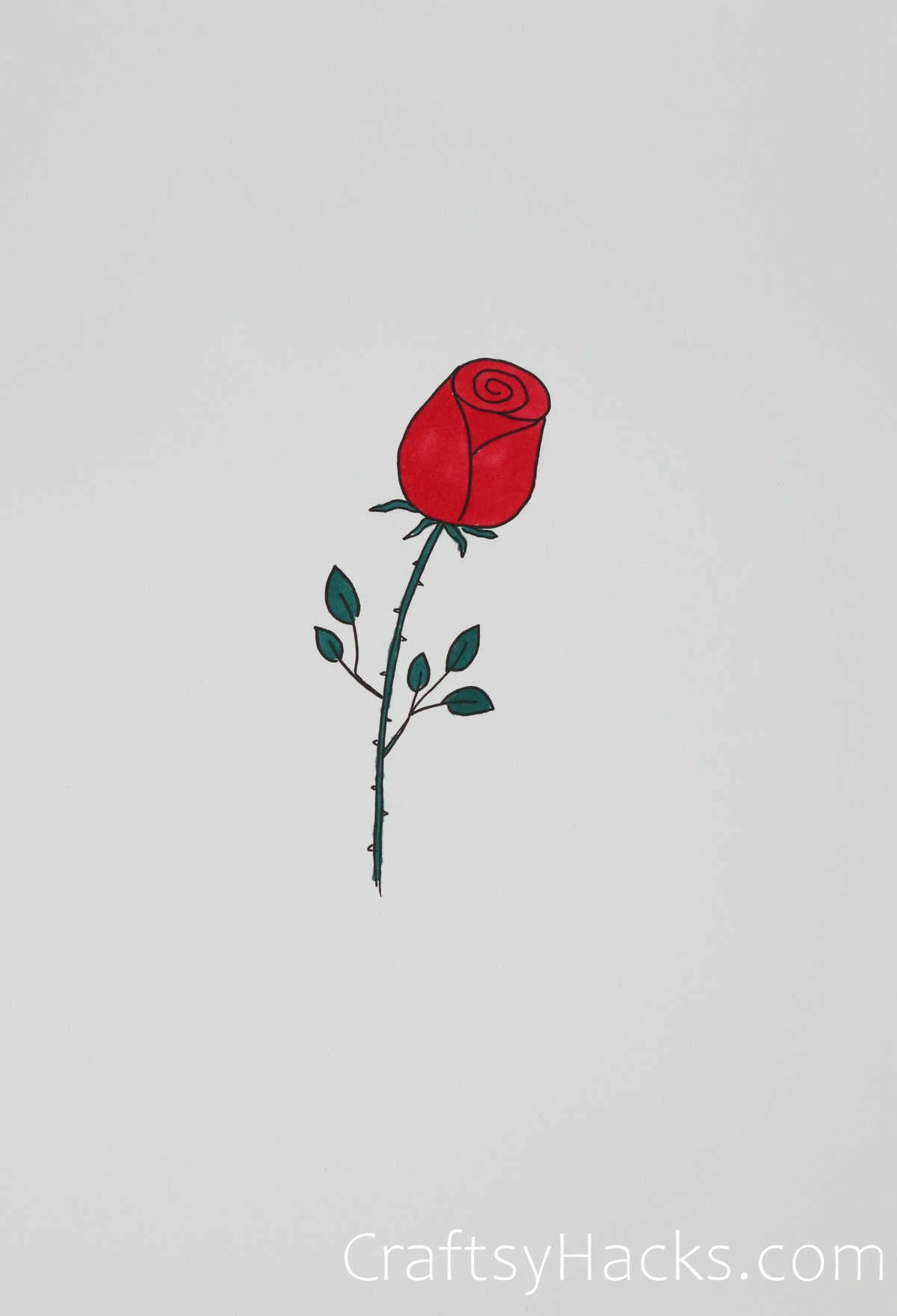 classic red rose drawing