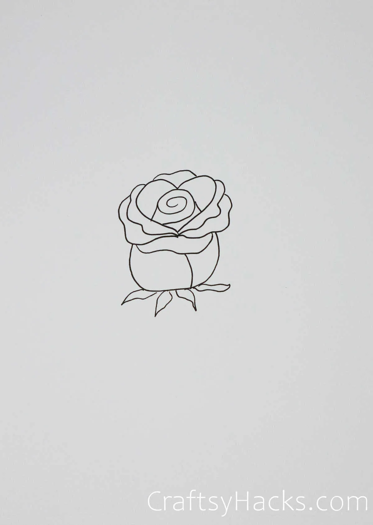 simple rose sketch