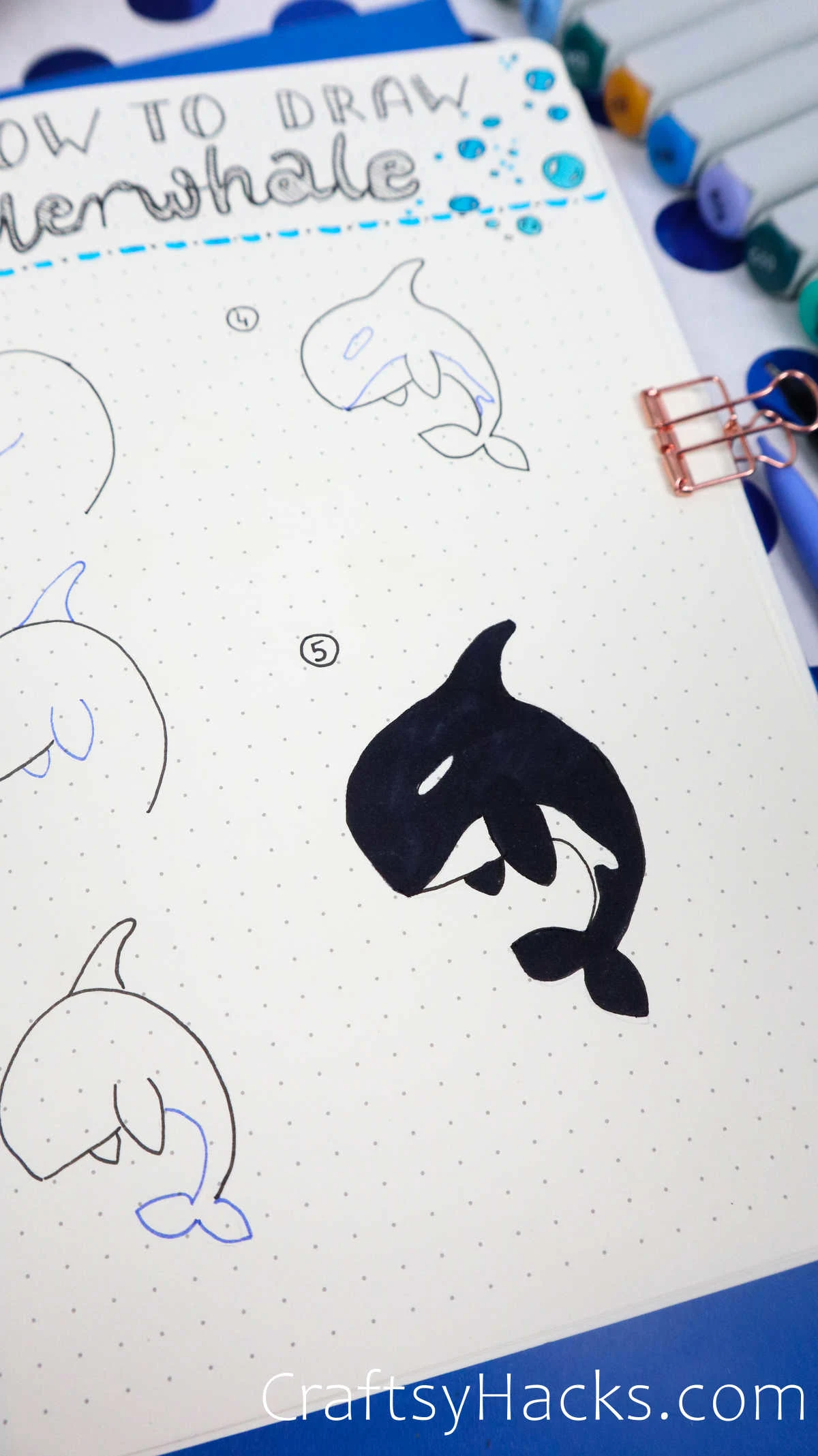 step by step killer whale drawing