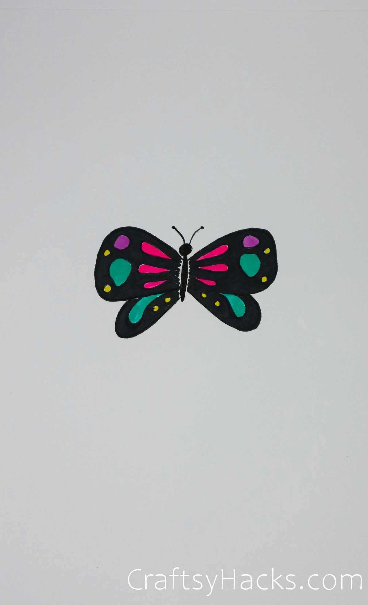 neon butterfly