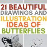 drawing and illustration ideas of butterflies