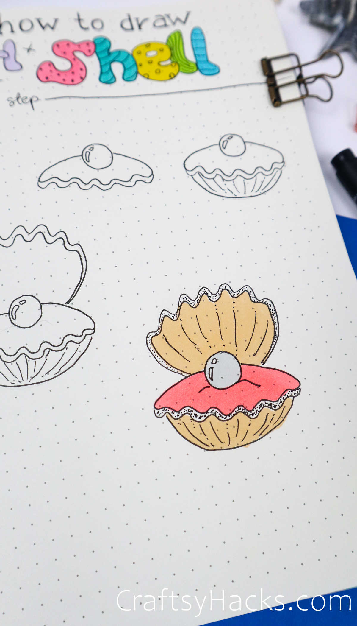 shell drawing tutorial
