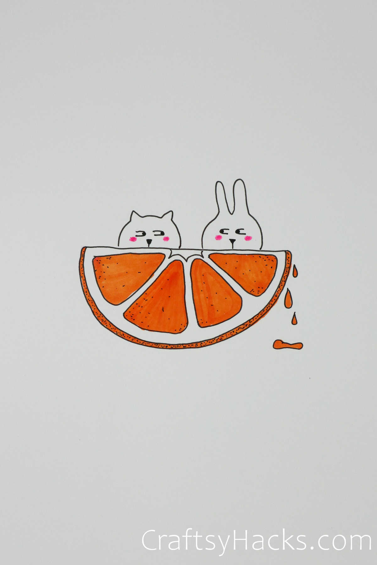 orange and bunnies