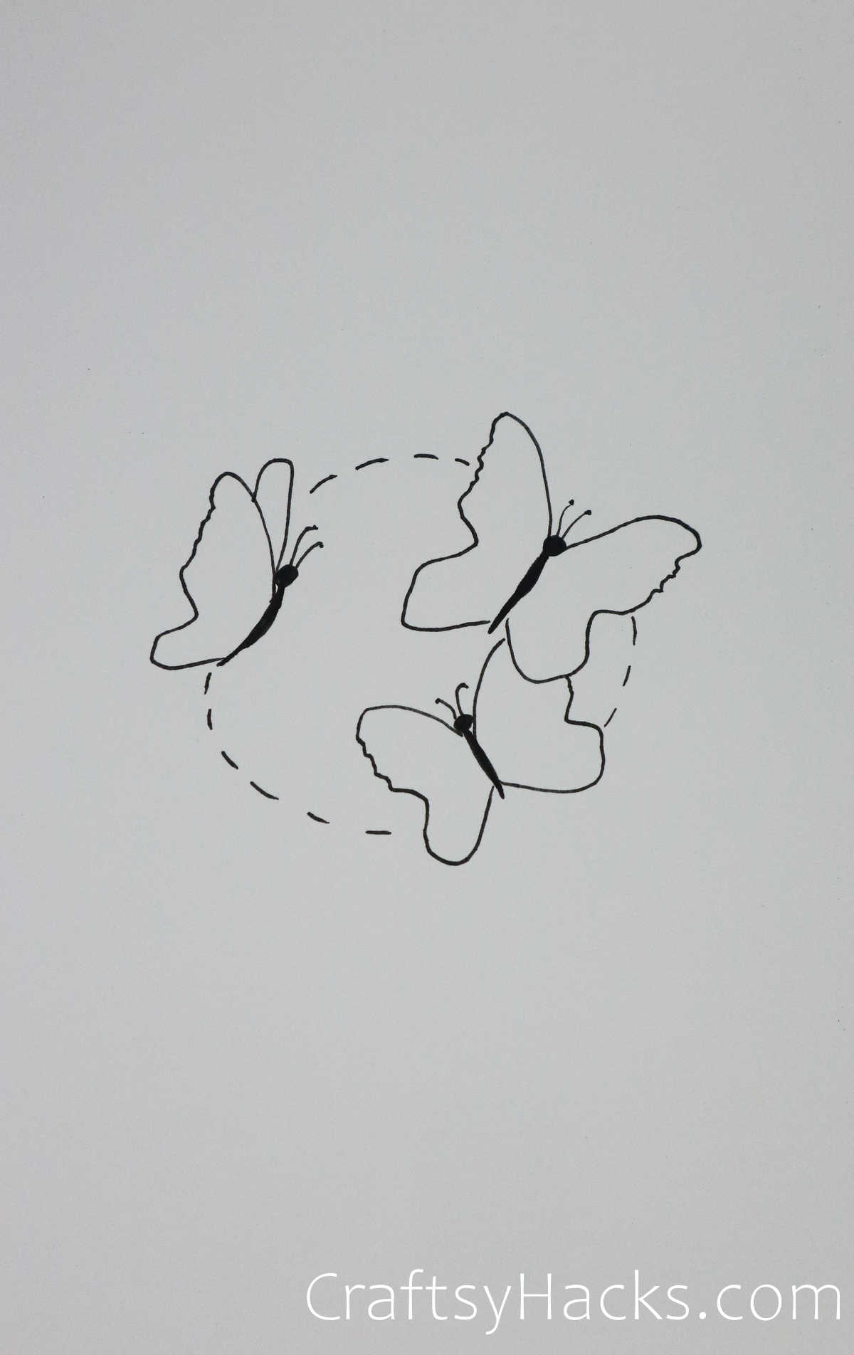 group of butterflies drawing