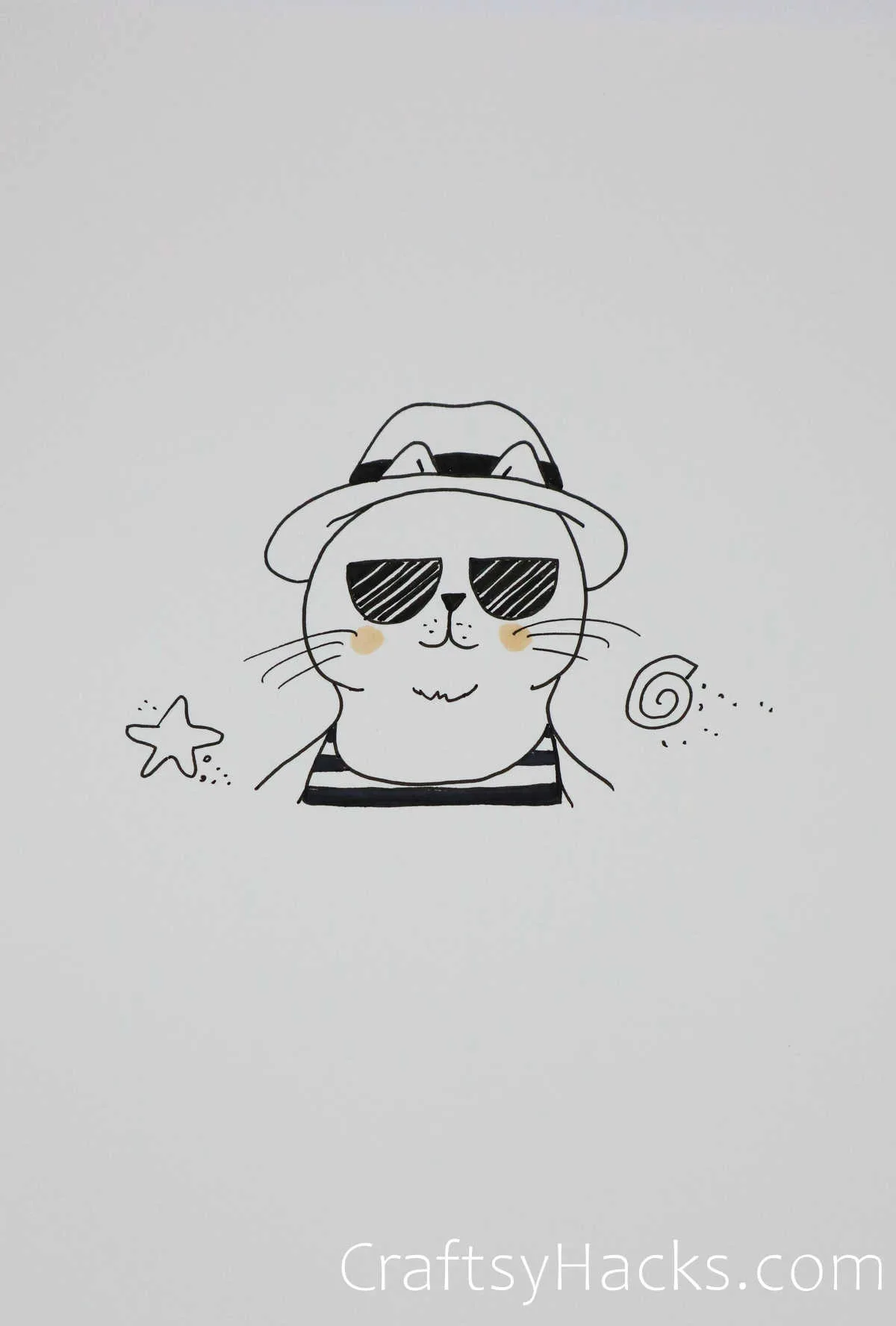 cool cat