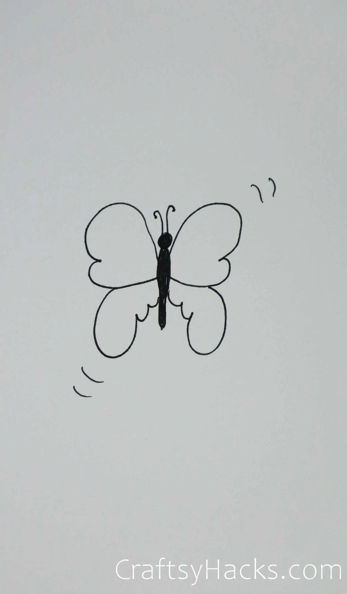 How to Draw a Butterfly (Easy Step by Step) - Crafty Morning