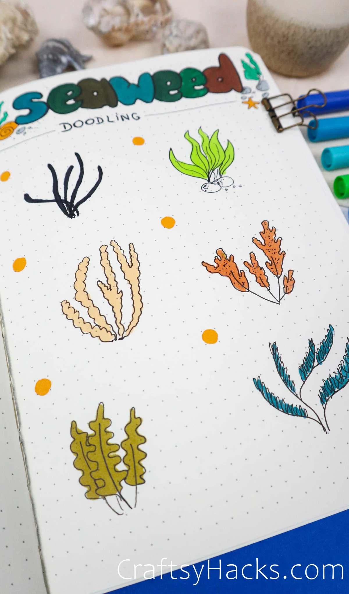 six types of seaweed drawings