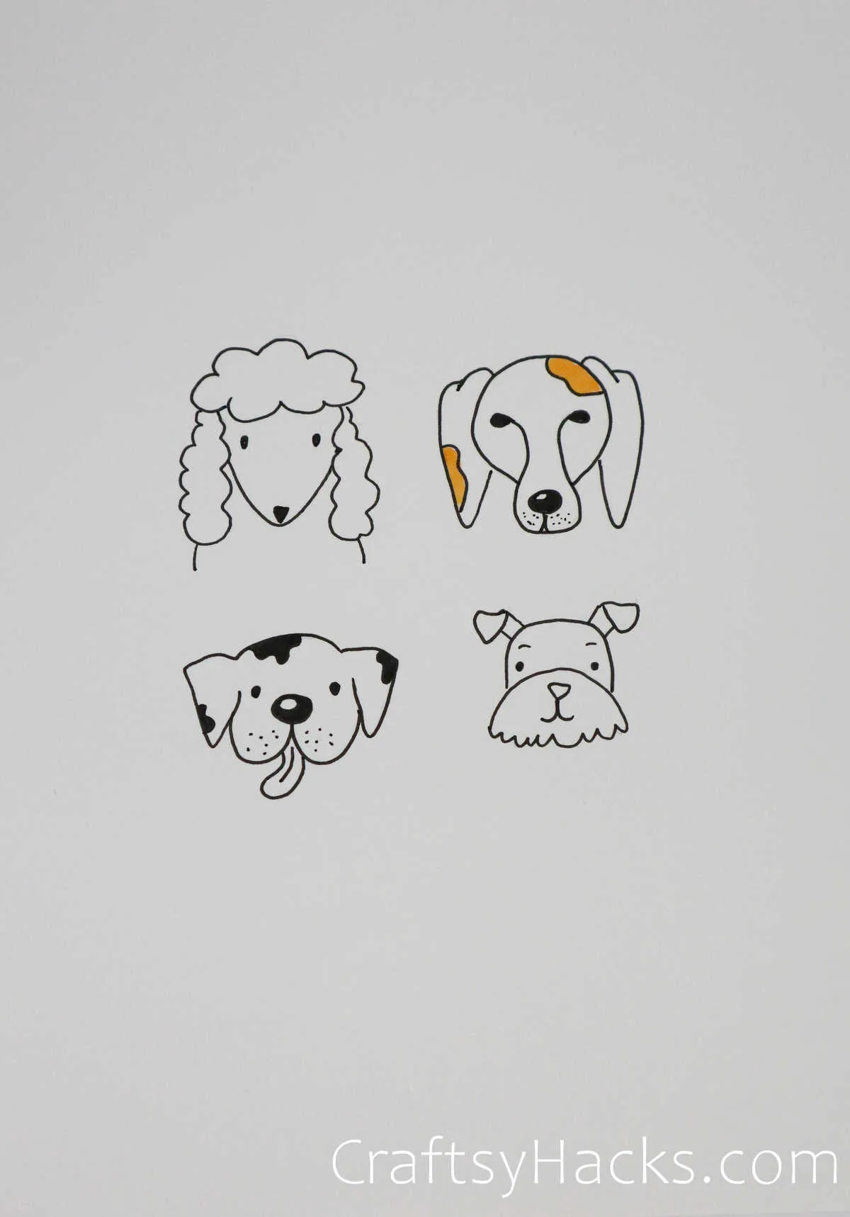 dog illustrations