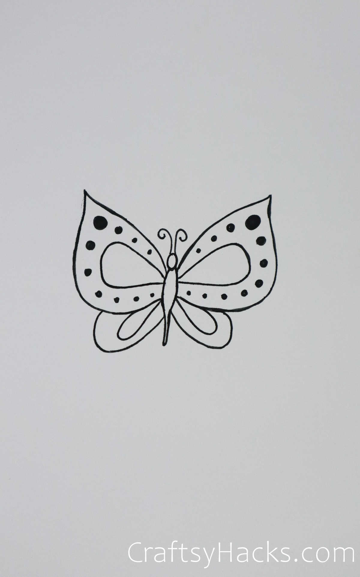 polka dotted butterfly