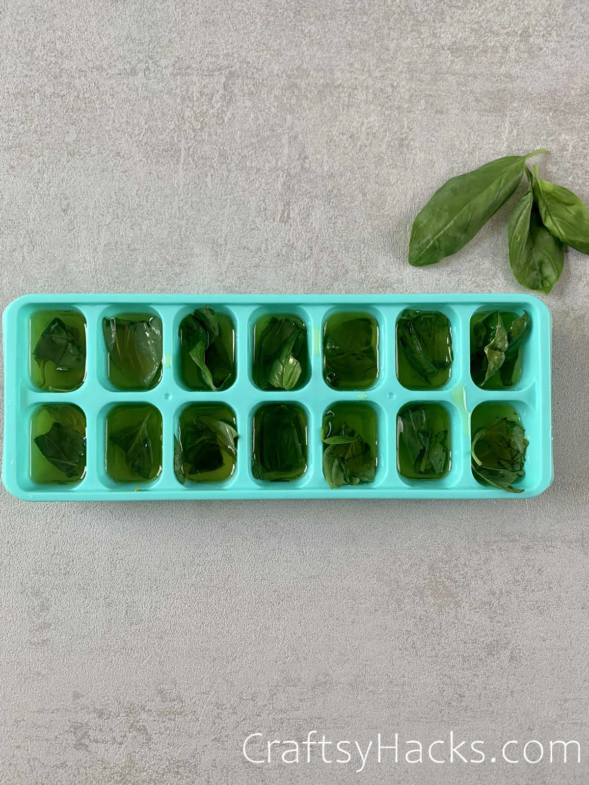 freeze fresh herbs with olive oil