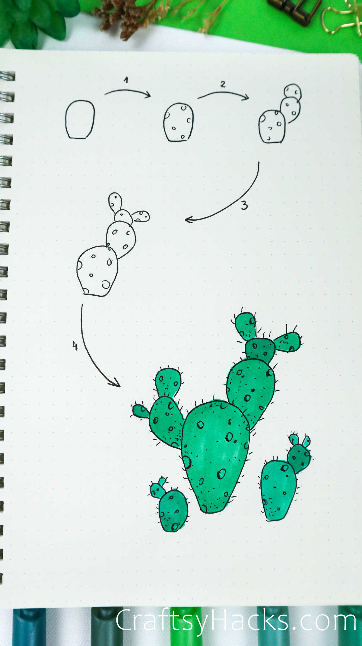 prickly pear drawing step by step