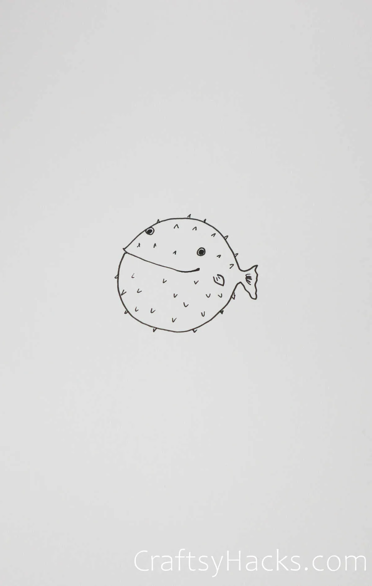 puffer fish drawing