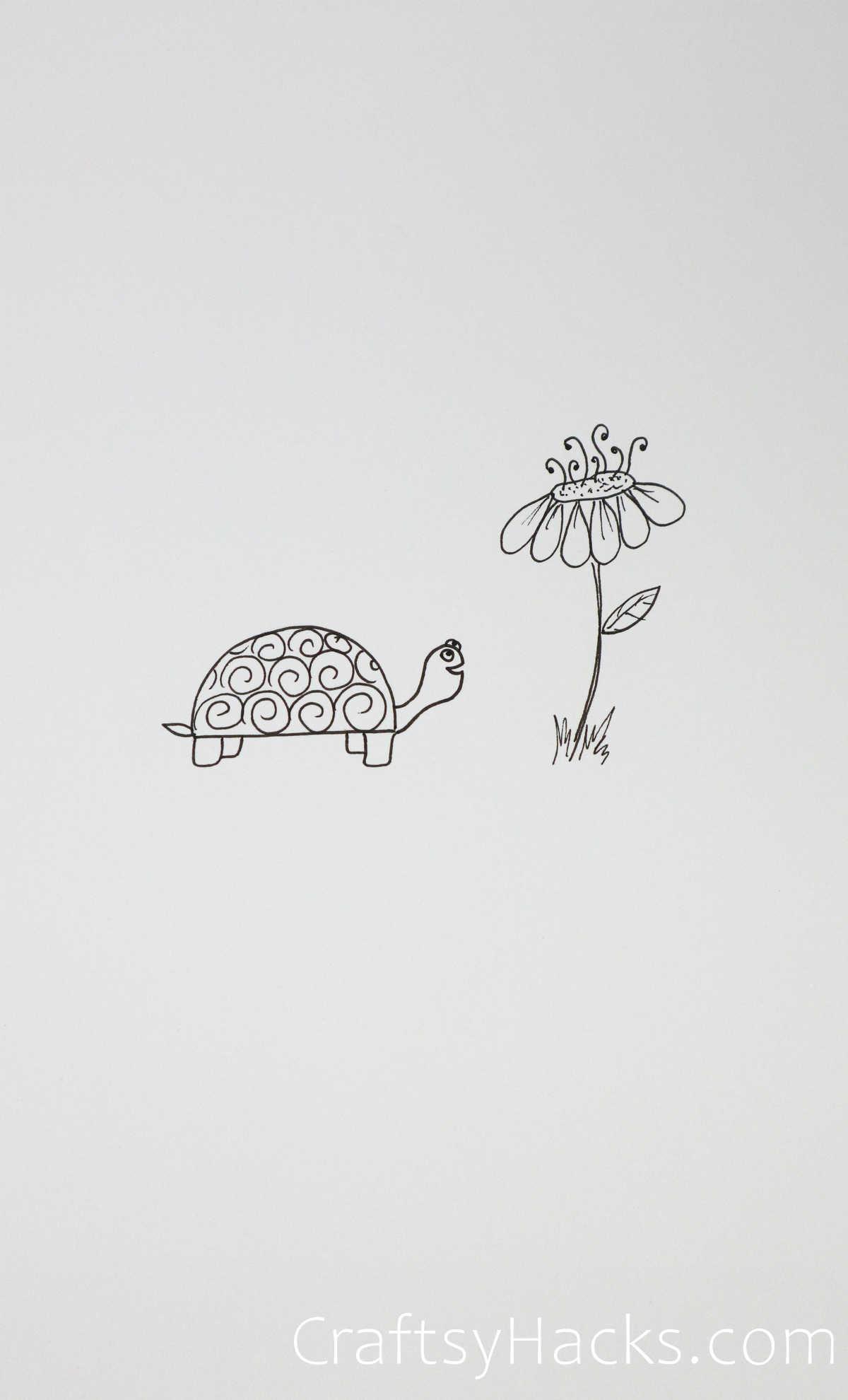 turtle and flower drawing