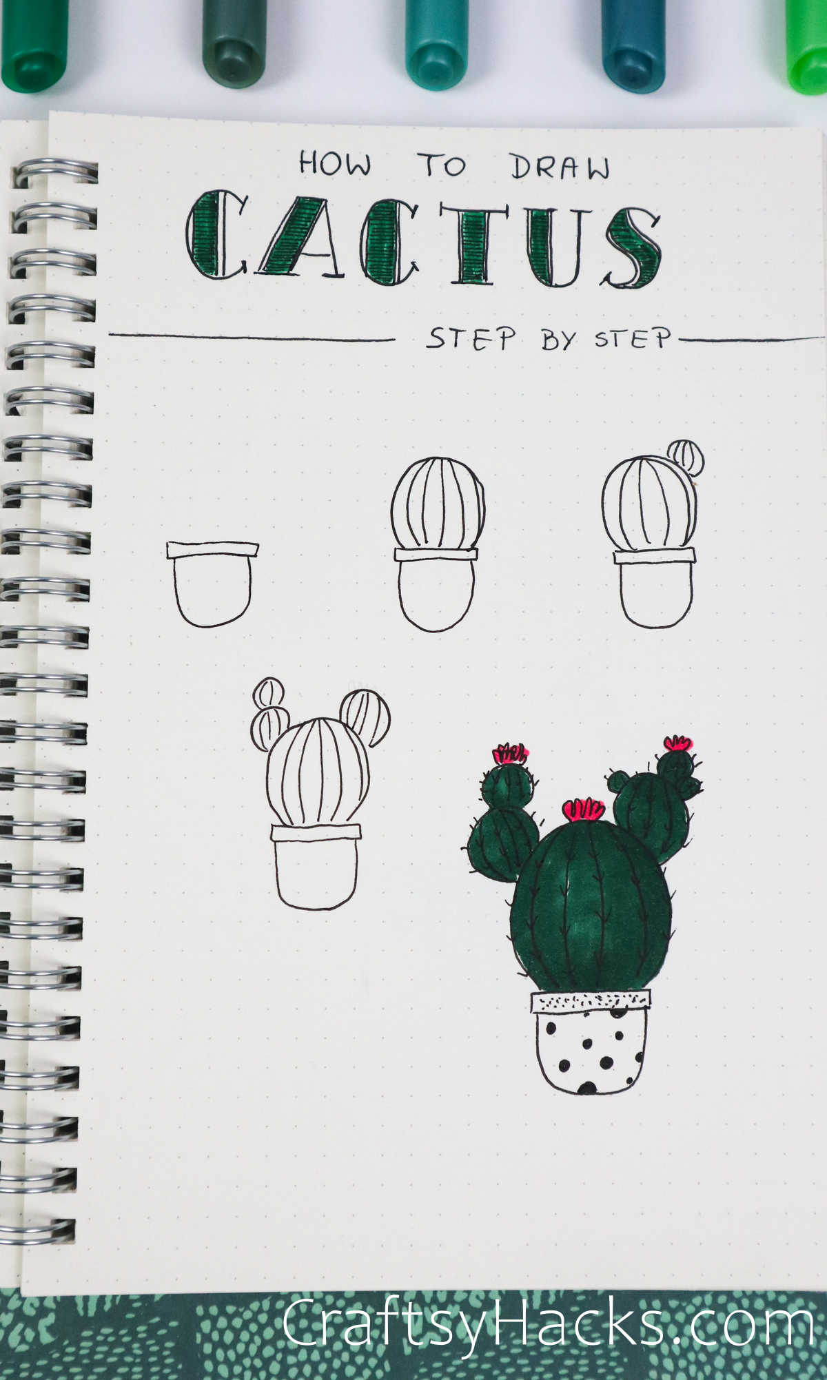 step by step cactus drawing
