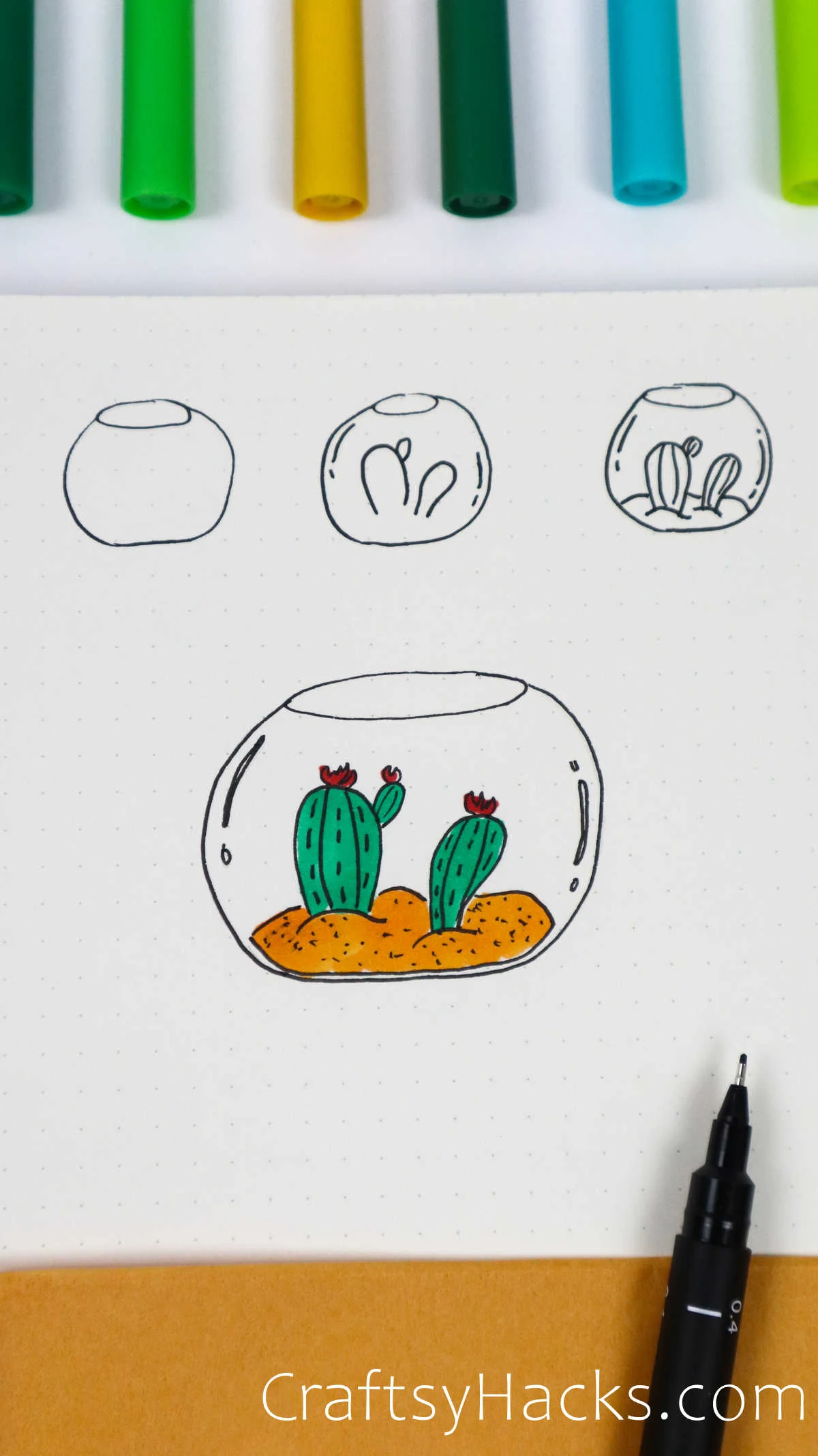 cactus in a bowl