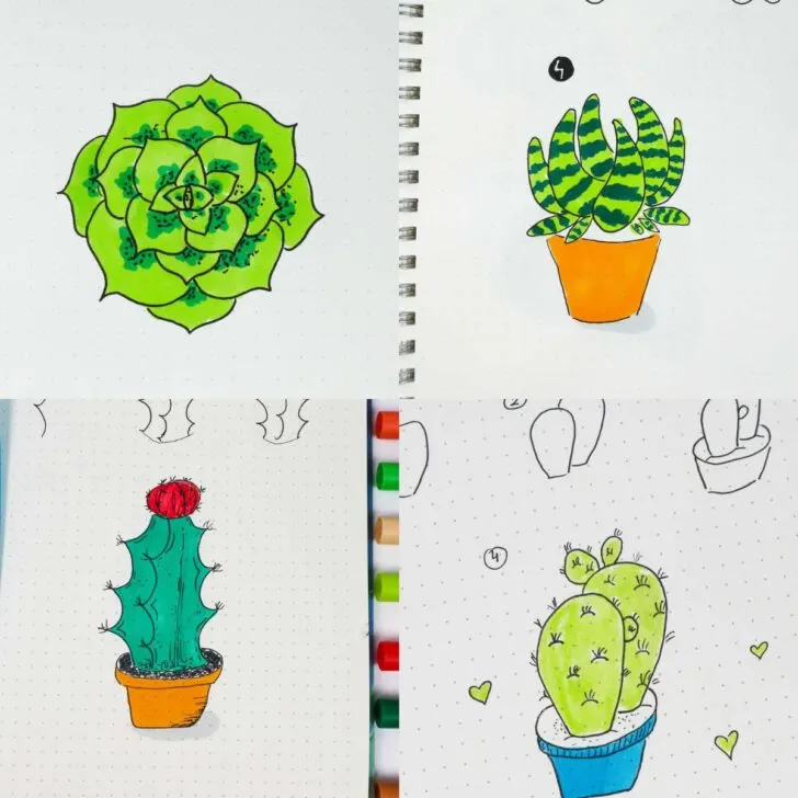 cactus and succulent doodle drawing ideas