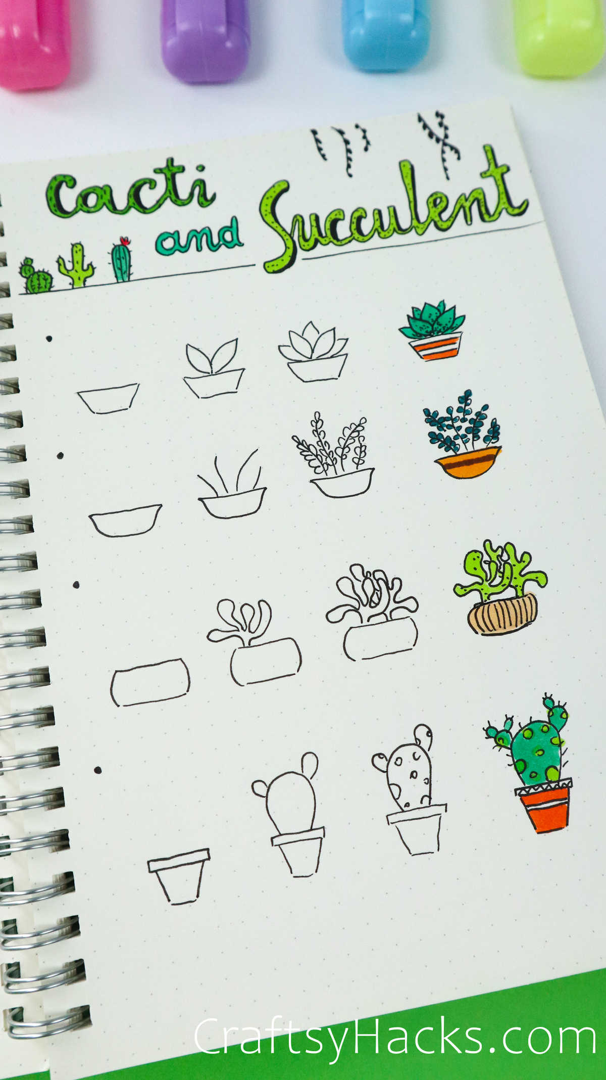 cacti and succulent doodles