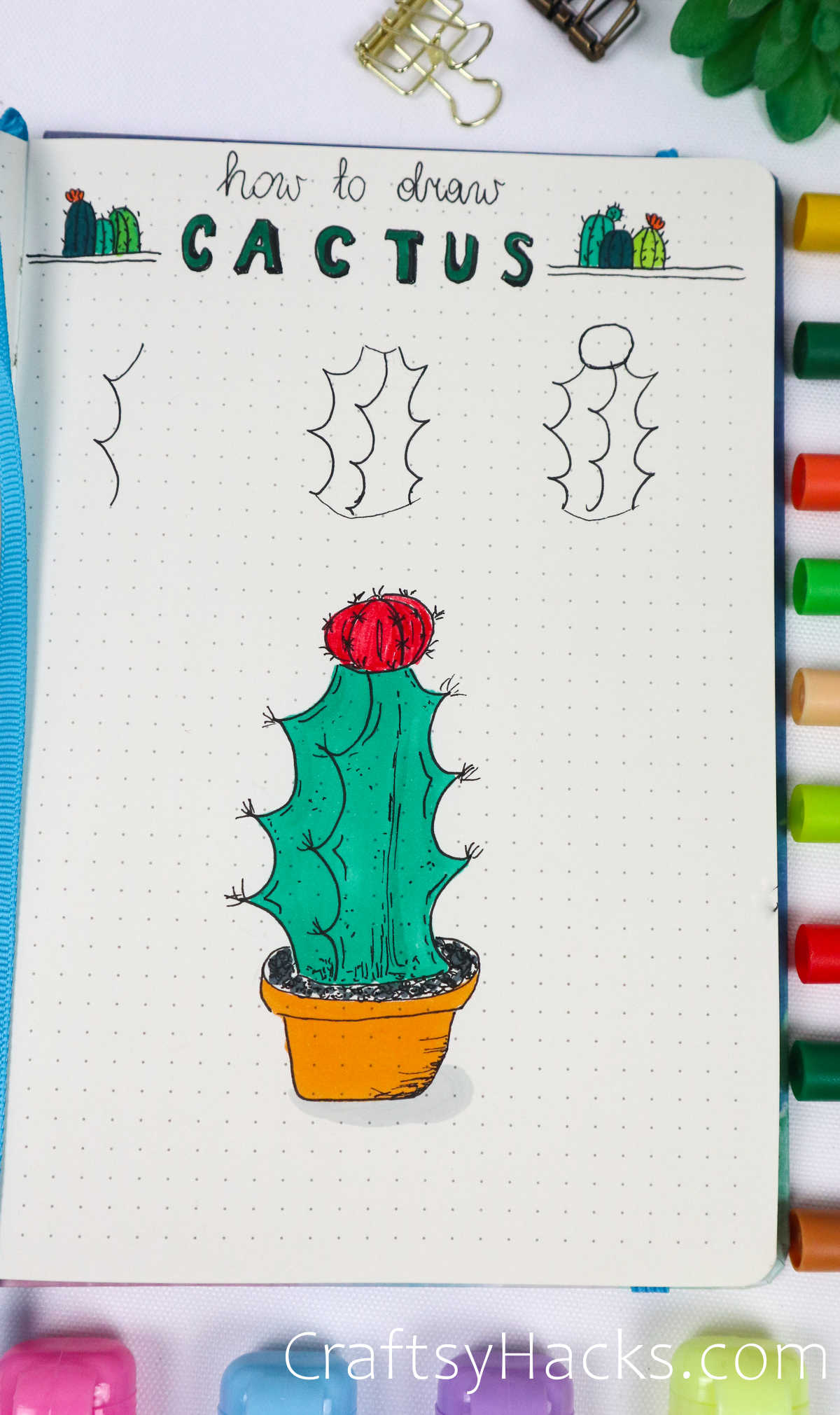 short flowering cactus drawing