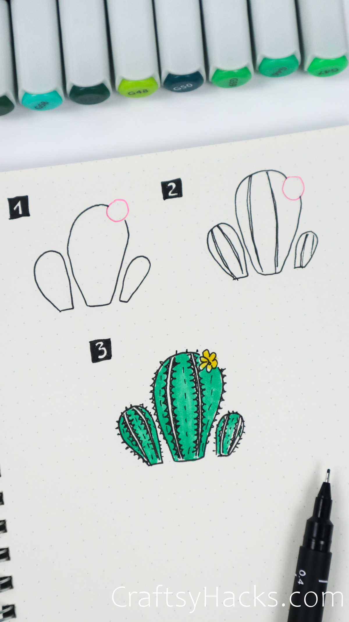 cactus and flower drawing