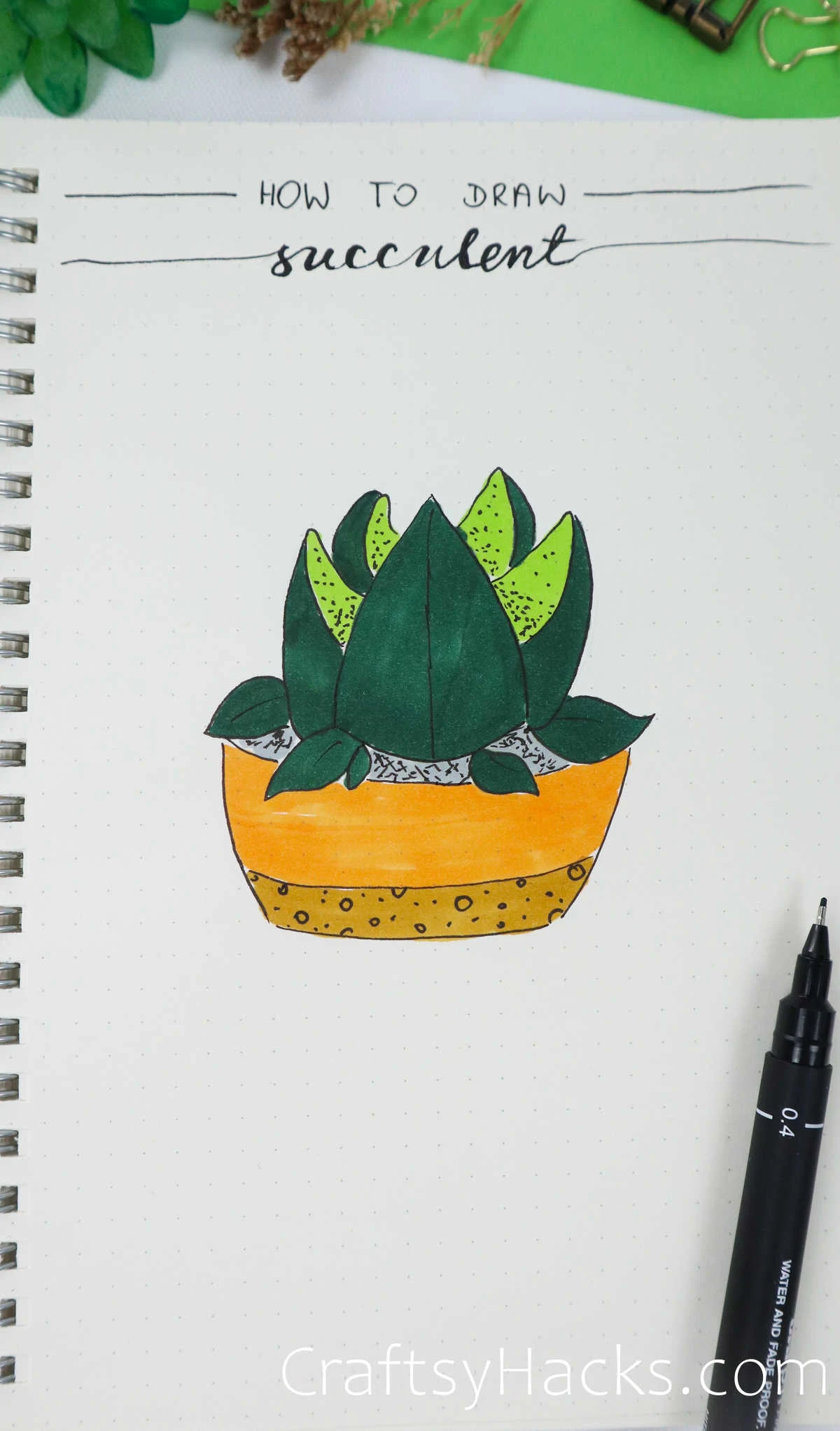potted succulent drawing 