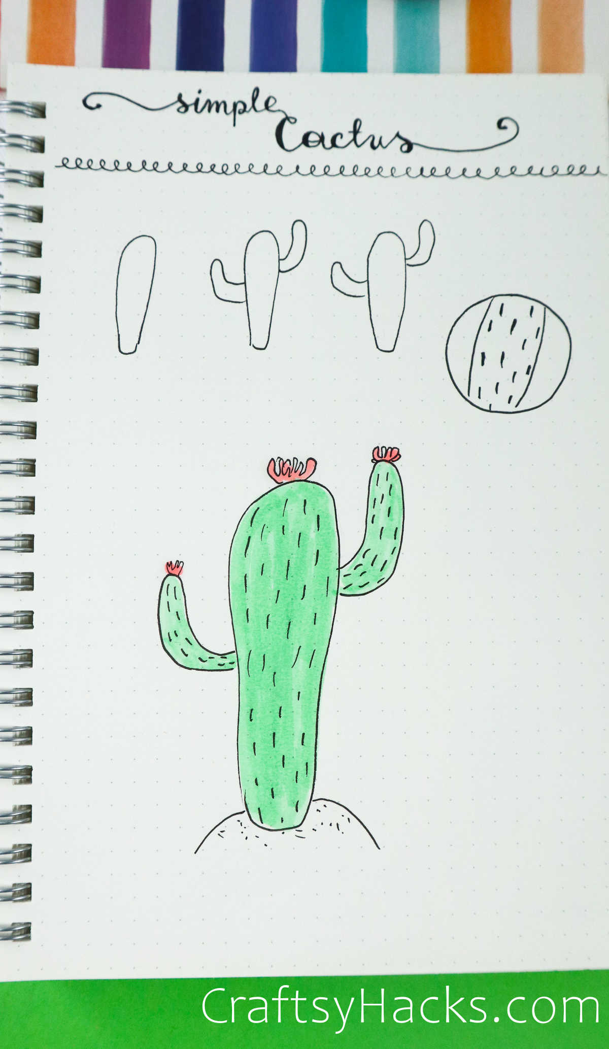 simple cactus drawing