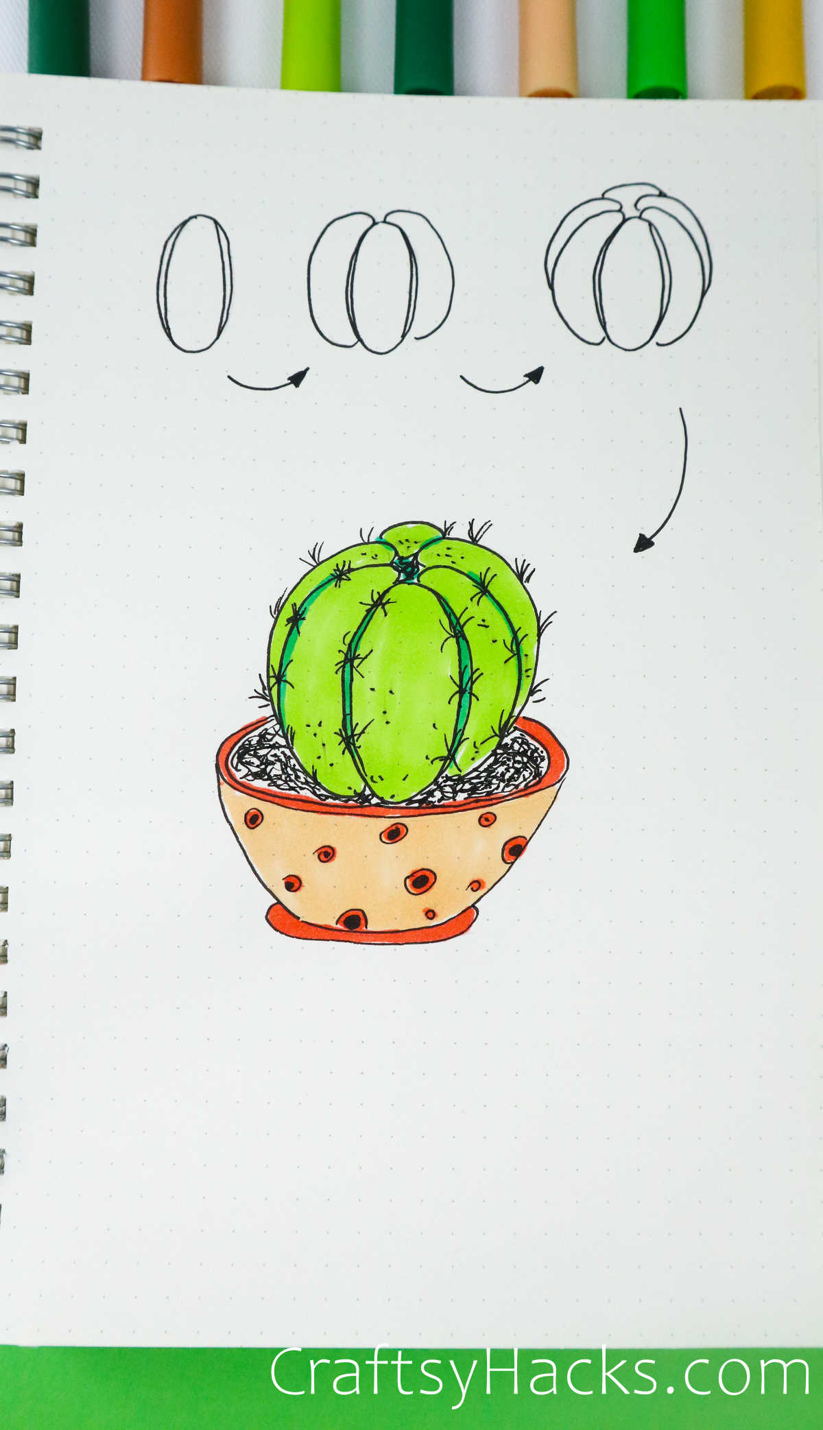 bulb cactus drawing