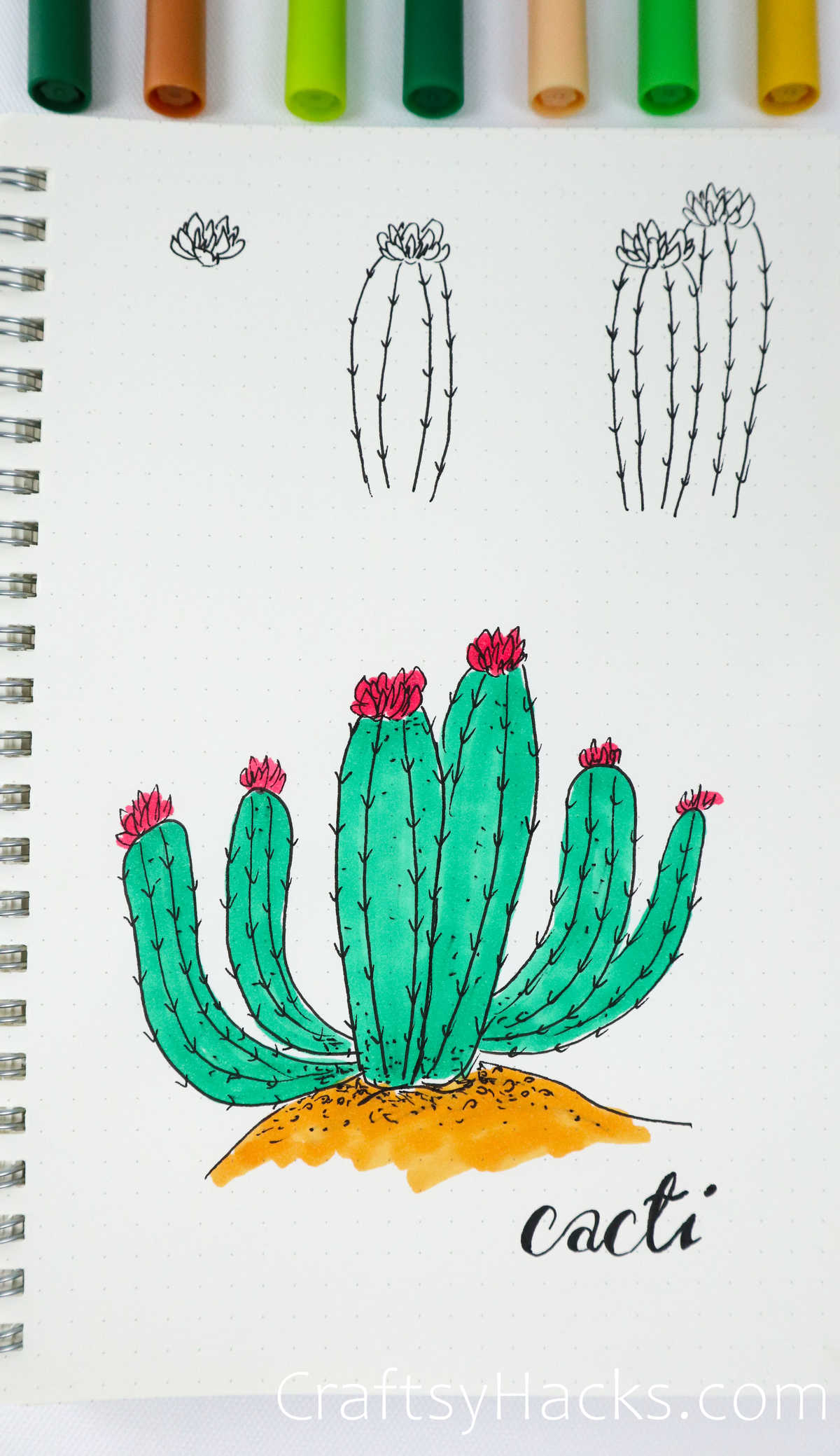 tall flowering cacti
