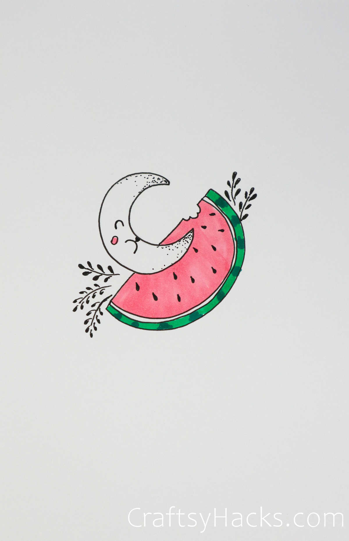 the moon and the watermelon
