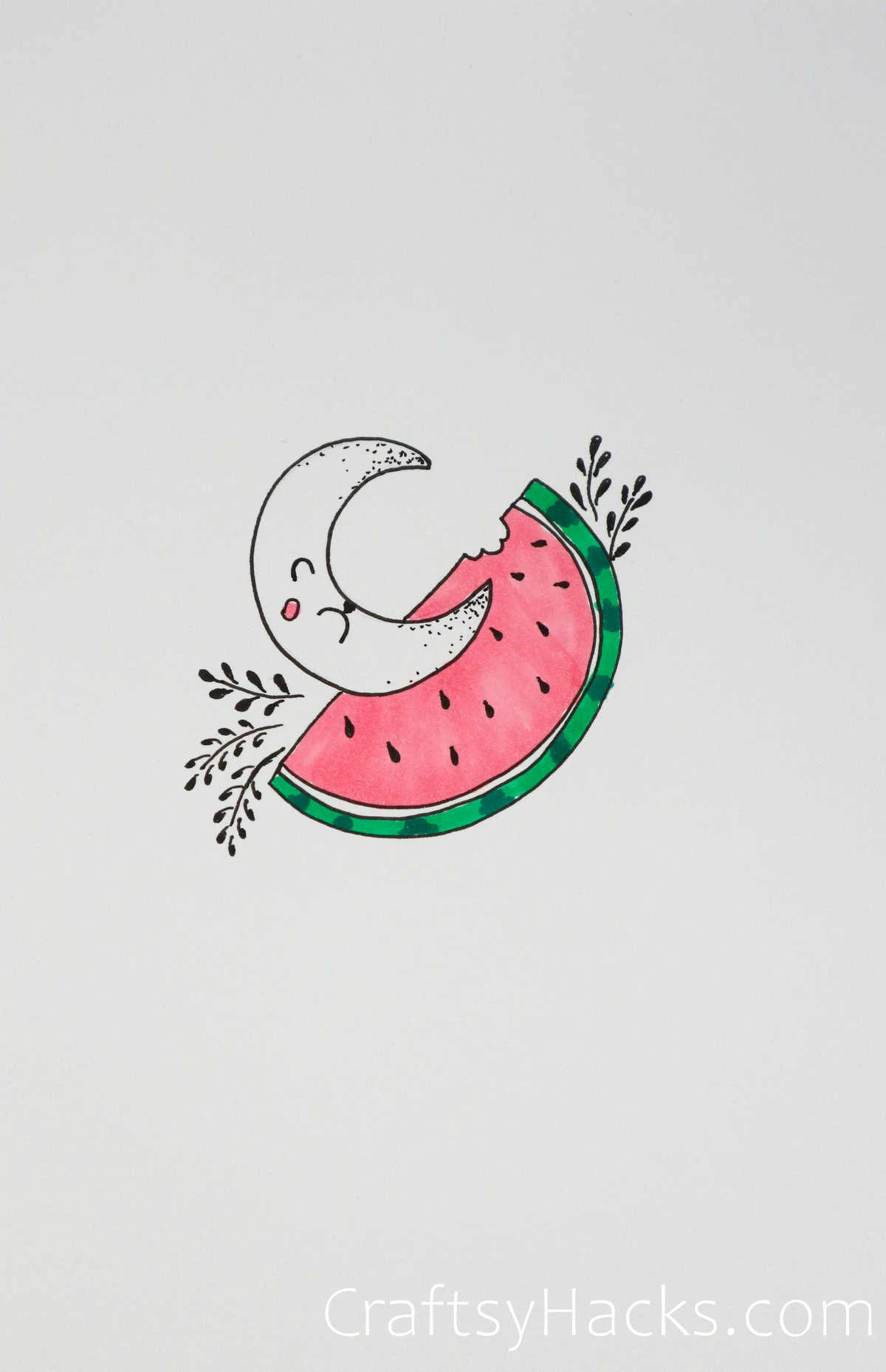 the moon and the watermelon