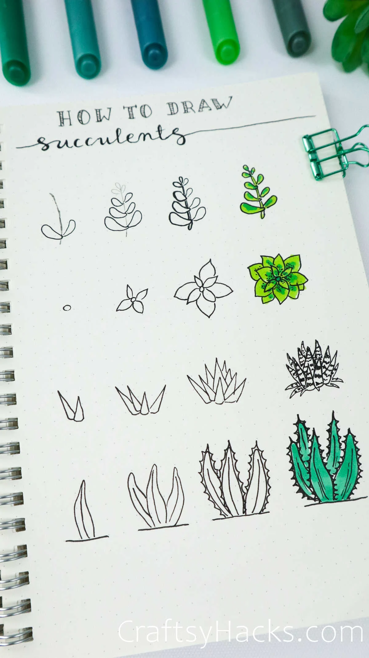 succulent drawing tutorial