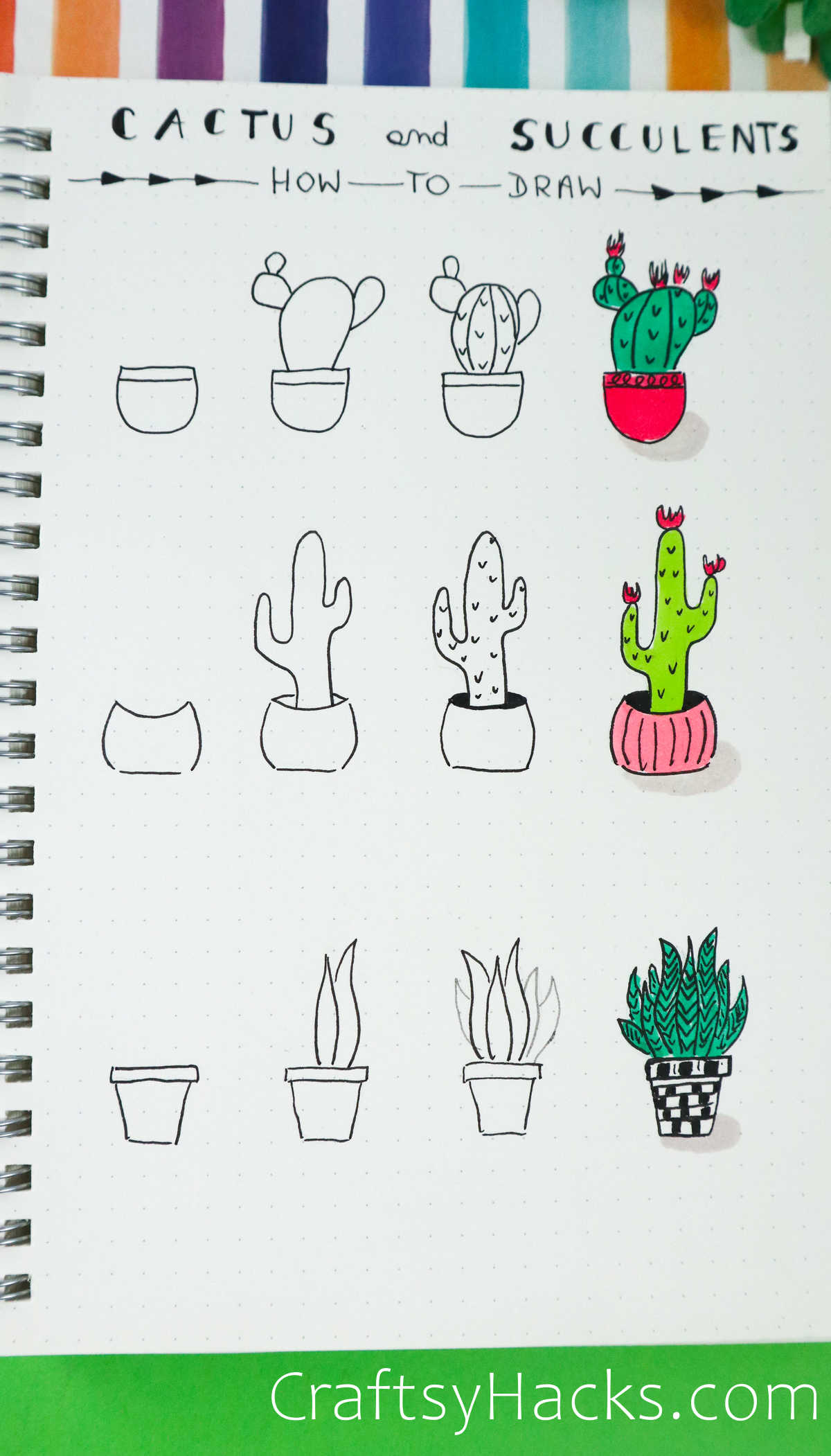 cactus and succulent drawing ideas