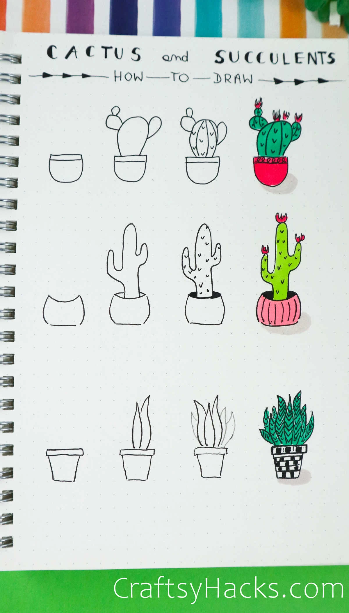 cactus and succulent drawing ideas