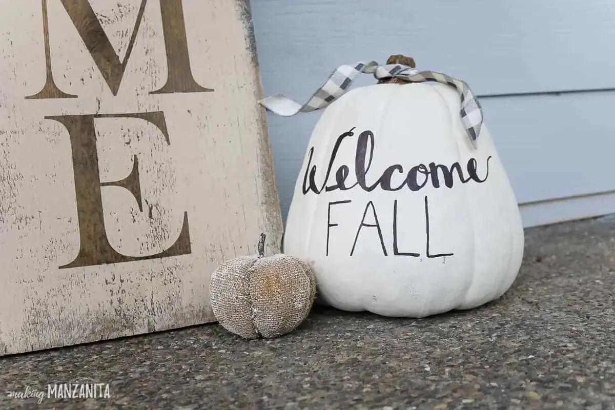 white pumpkin decor