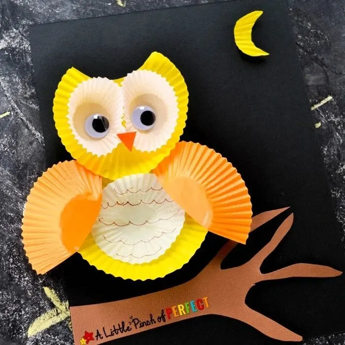 cupcake liner owl