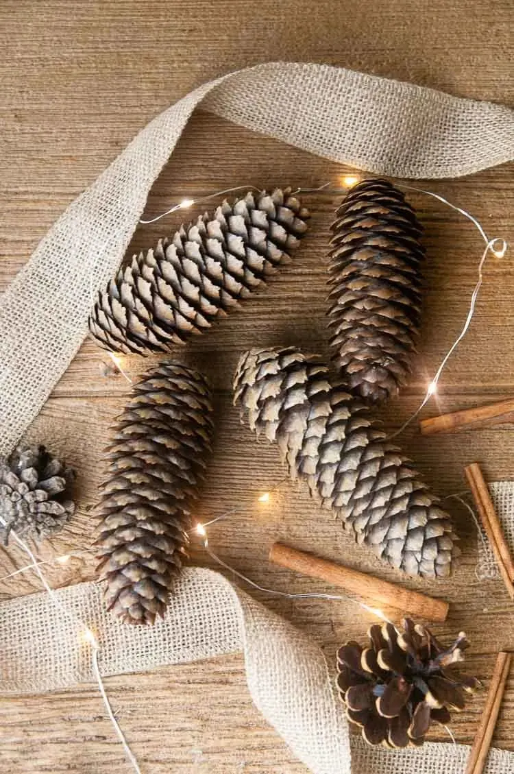 cinnamon pine cones