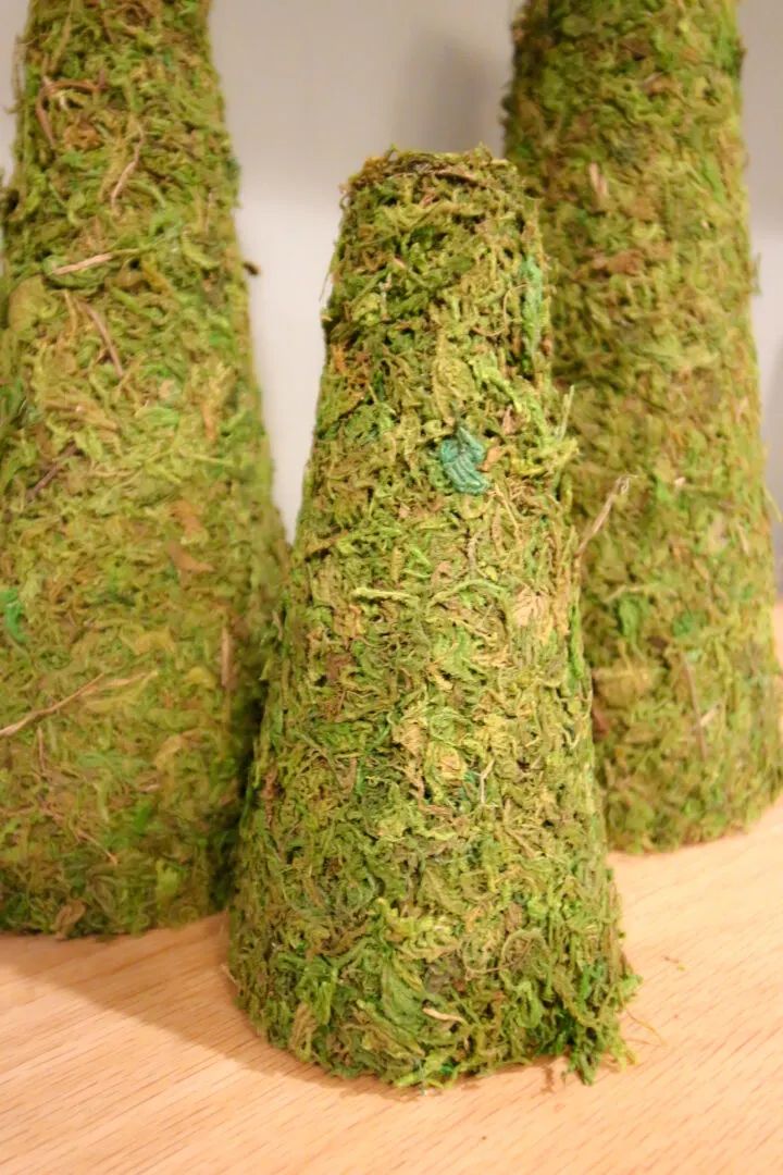 mossy Christmas tree