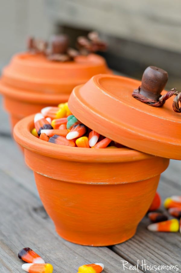 pumpkin terracotta pots