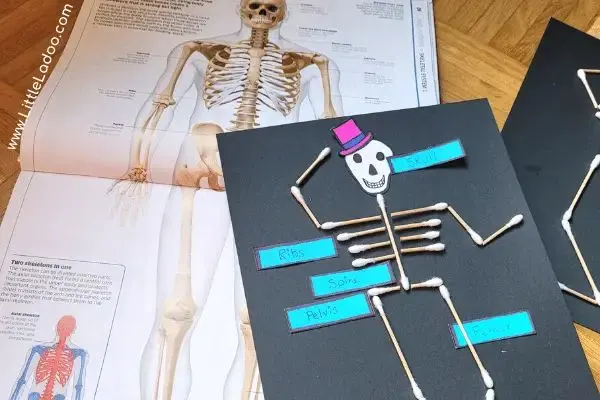 Q Tip skeleton