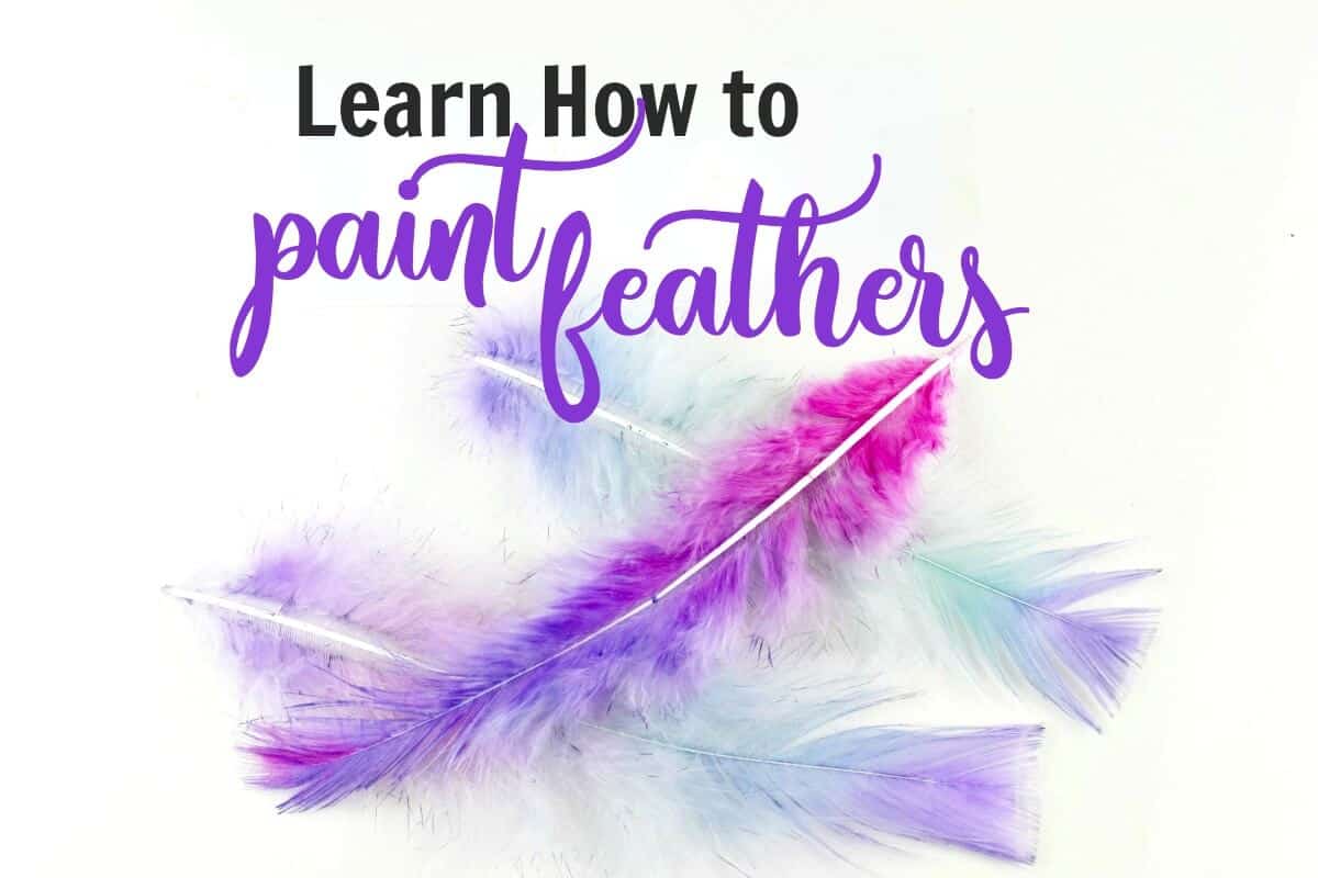 watercolor dyed feathers