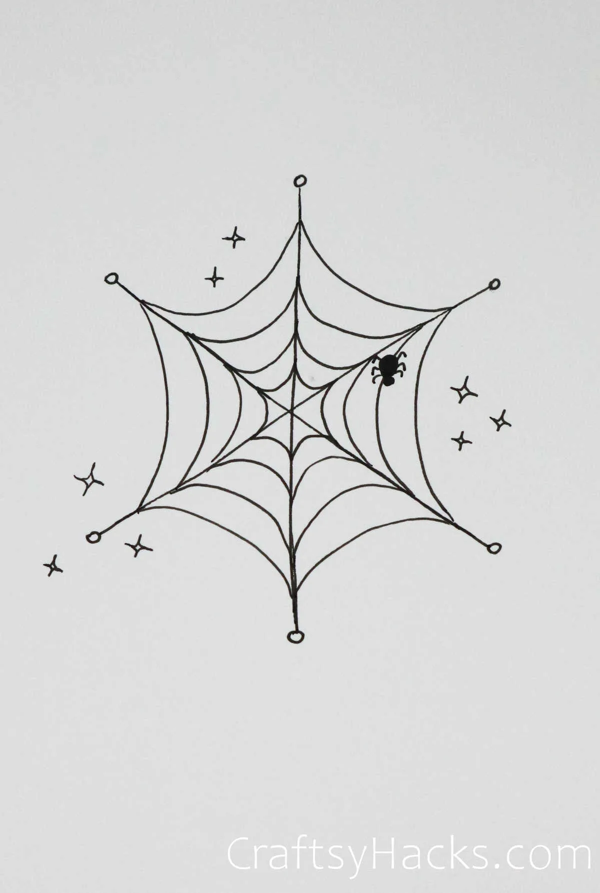 spider and its web drawing