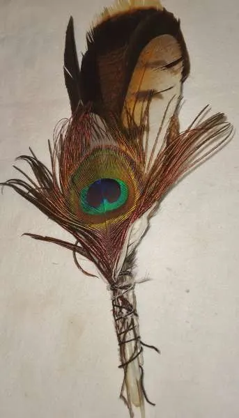 feather fan