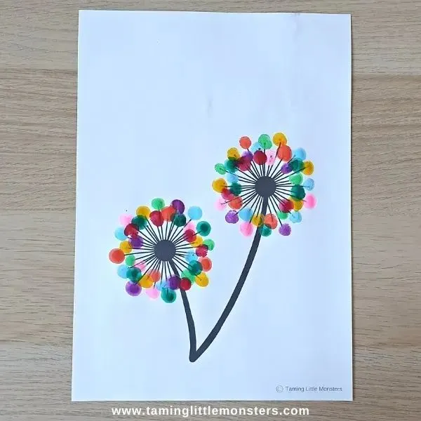 fingerprint dandelion